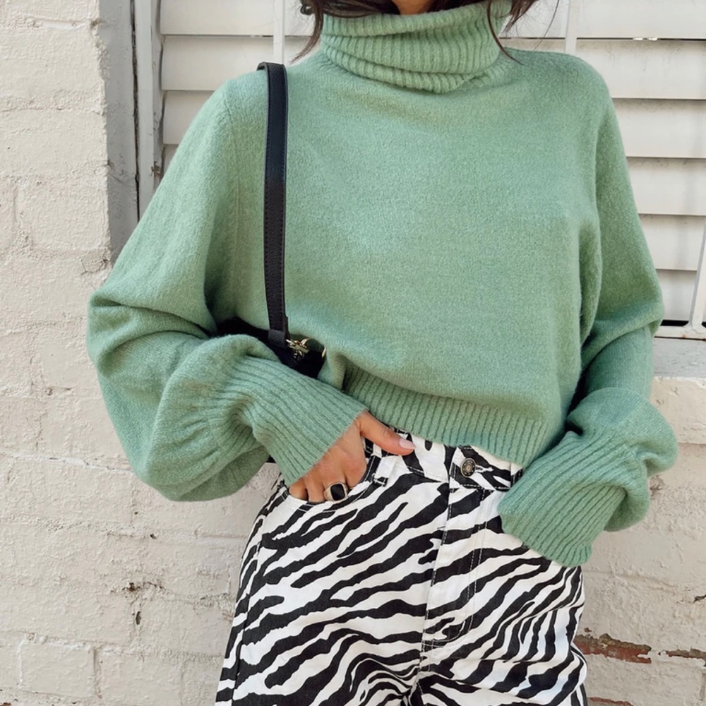 Princess Polly turtle neck sweater